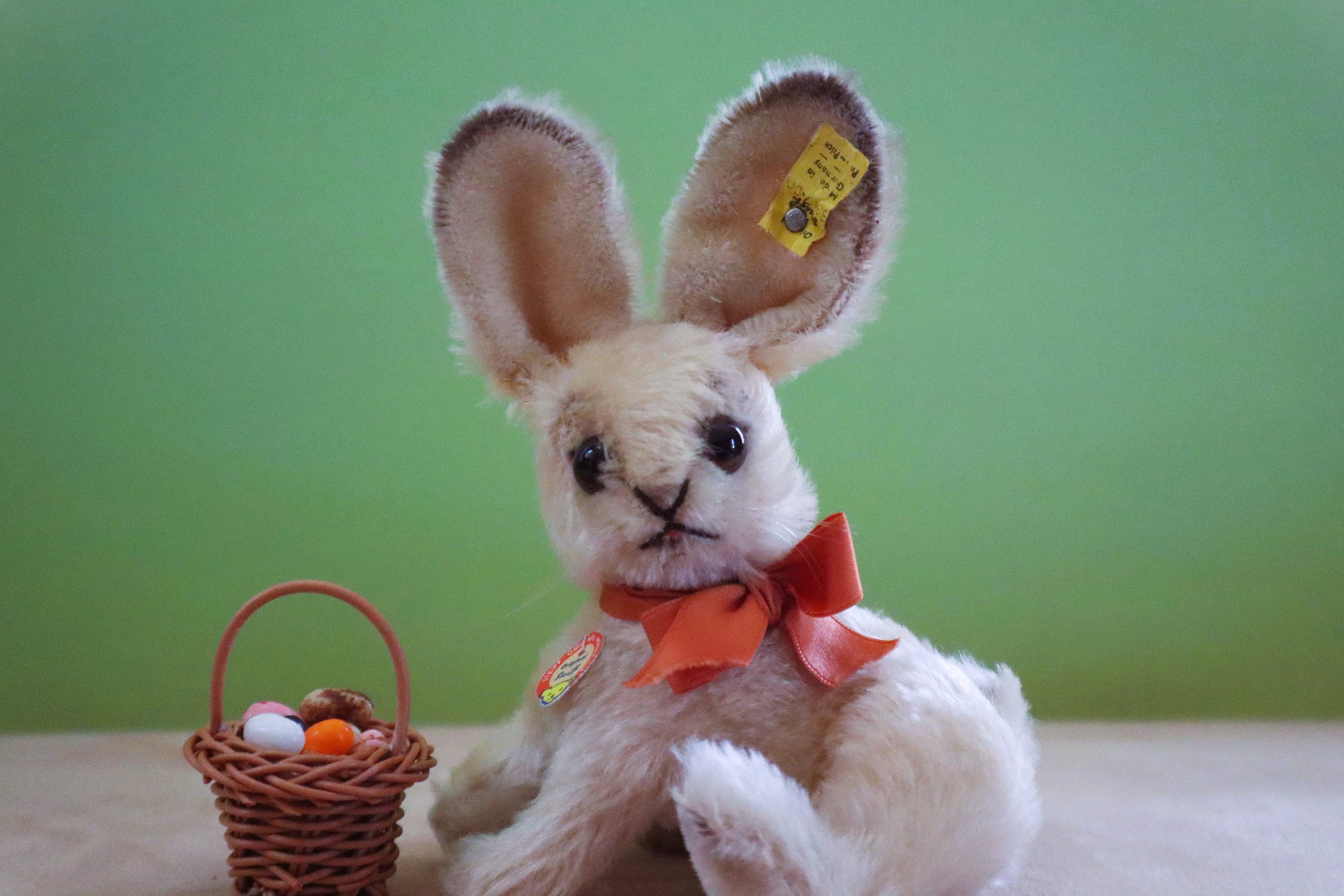 シュタイフ Dorma シュタイフ Dorma Steiff (シュタイフ) テディベア 019579｜トレファク