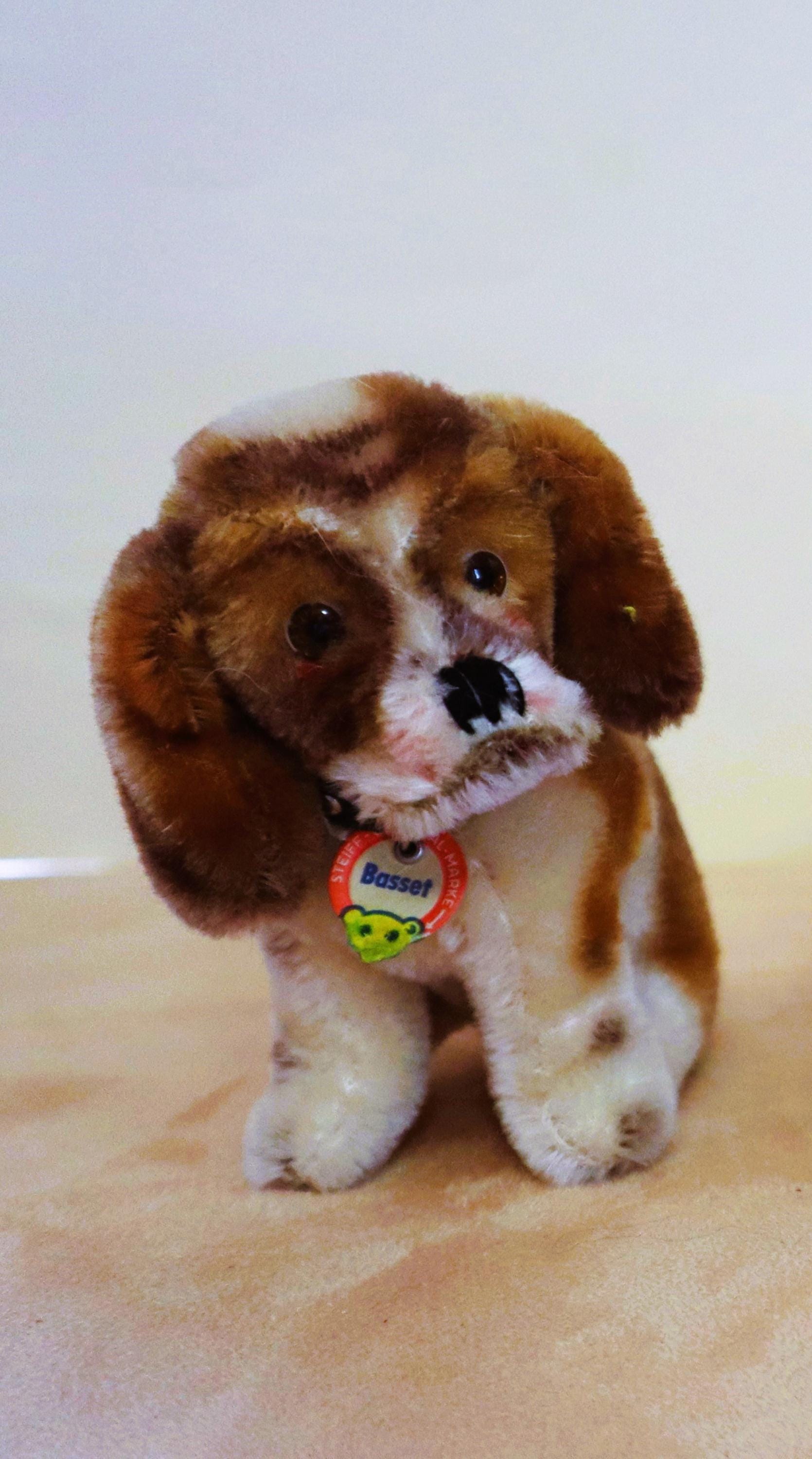 Steiff Vintage Basset Hound Dog ALLE ID's 1961-62 (alleen) #3312,00 Handgemaakte Duitse kunst en verzamelobjecten miniatuurpop, maat EX.Cond.  Zeldzaam!
