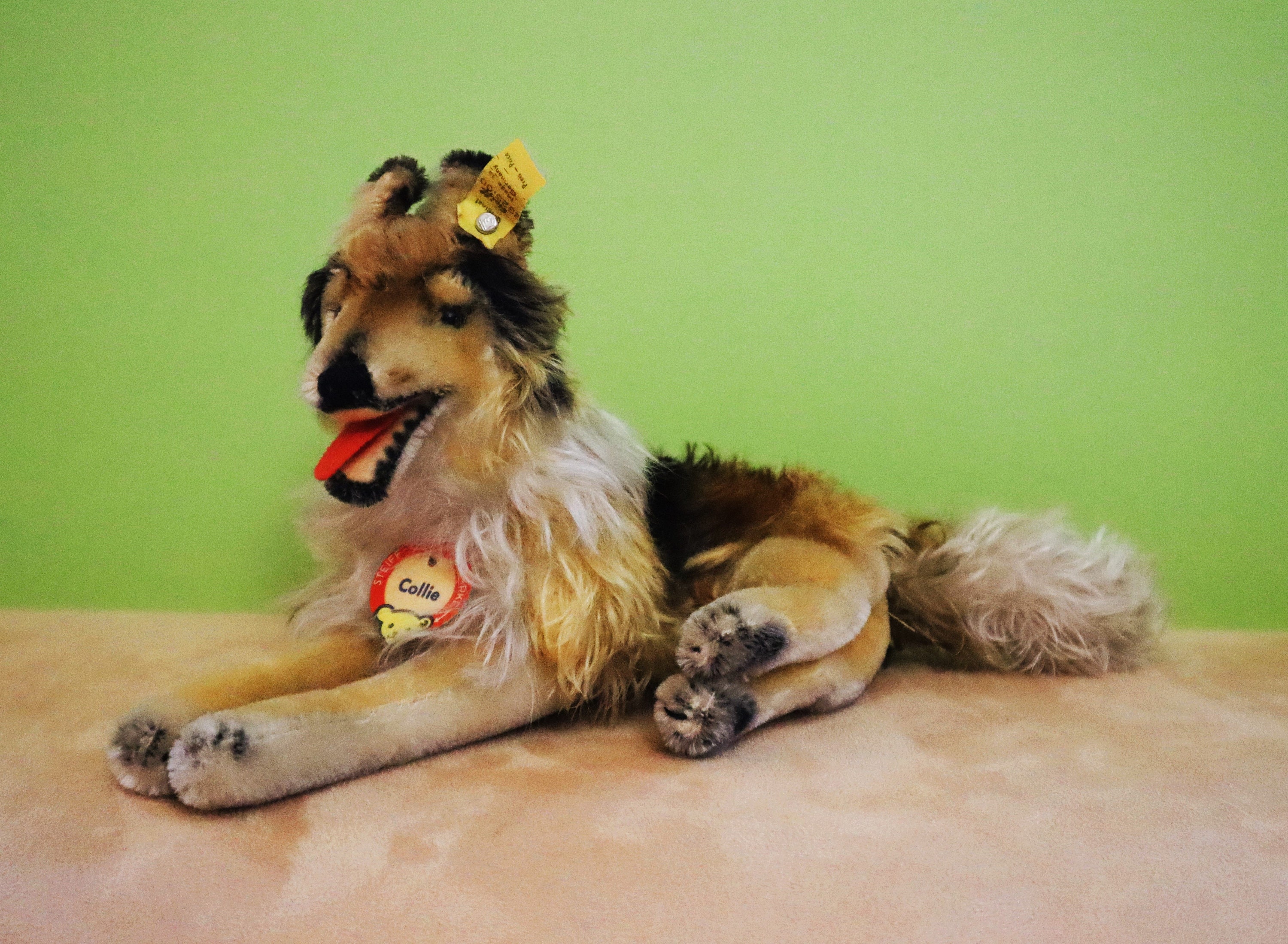 ヴィンテージ シュタイフ 犬 イヌ コリー Steiff Collie 12