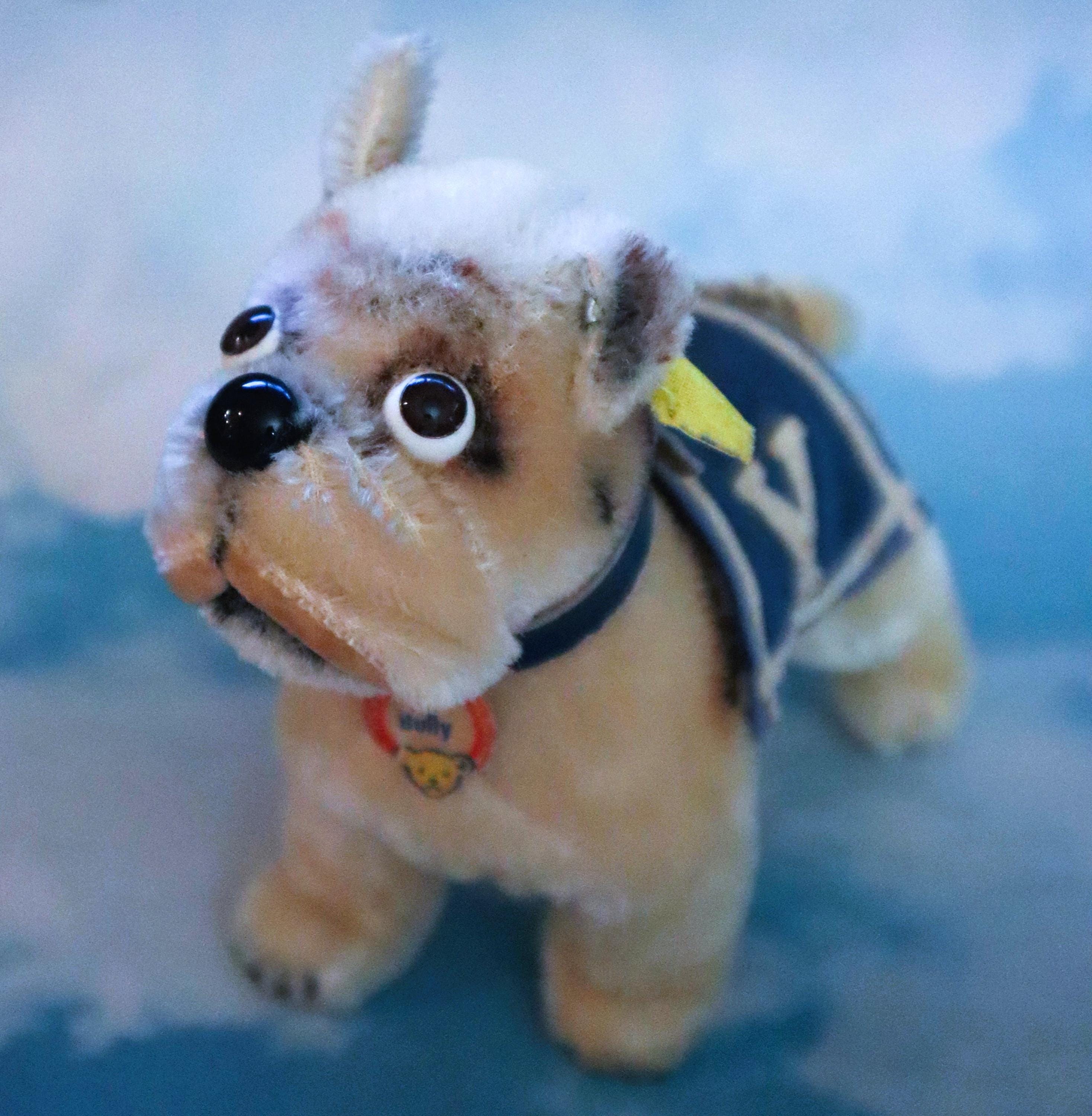 激レア　シュタイフ ドッグ　ぬいぐるみ Steiff bulldog - Etsy 日本