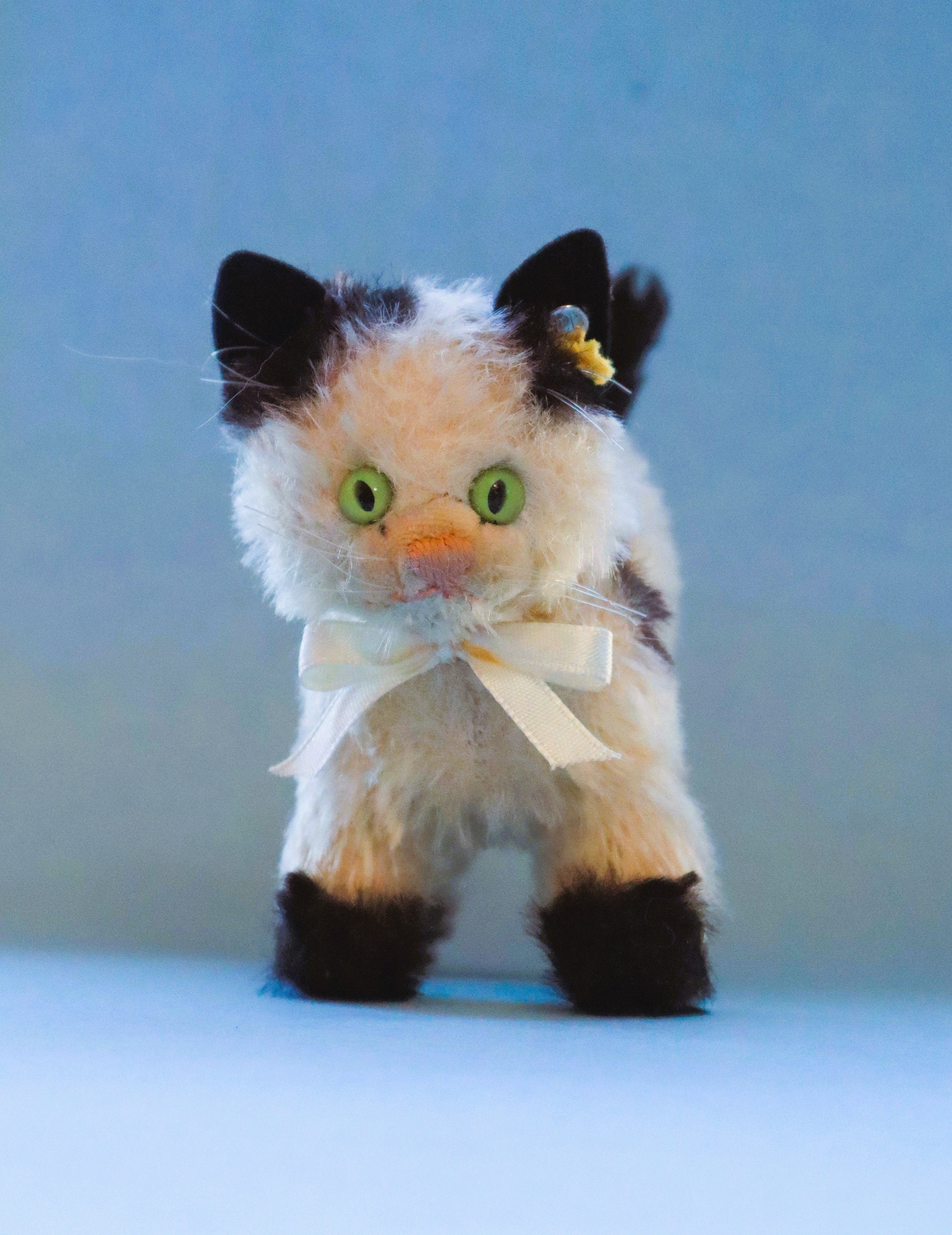 最低価格の - Priced SALE Steiff Black Tuxedo Ids W/ Cat Gussy Vintage コレクション