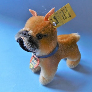 Vintage Steiff Boxer Sarras  Dog  ALL IDs #1310.  v.Ex. Cond. 1959-67 Leather Collar Art and Collectible German Toy Minty