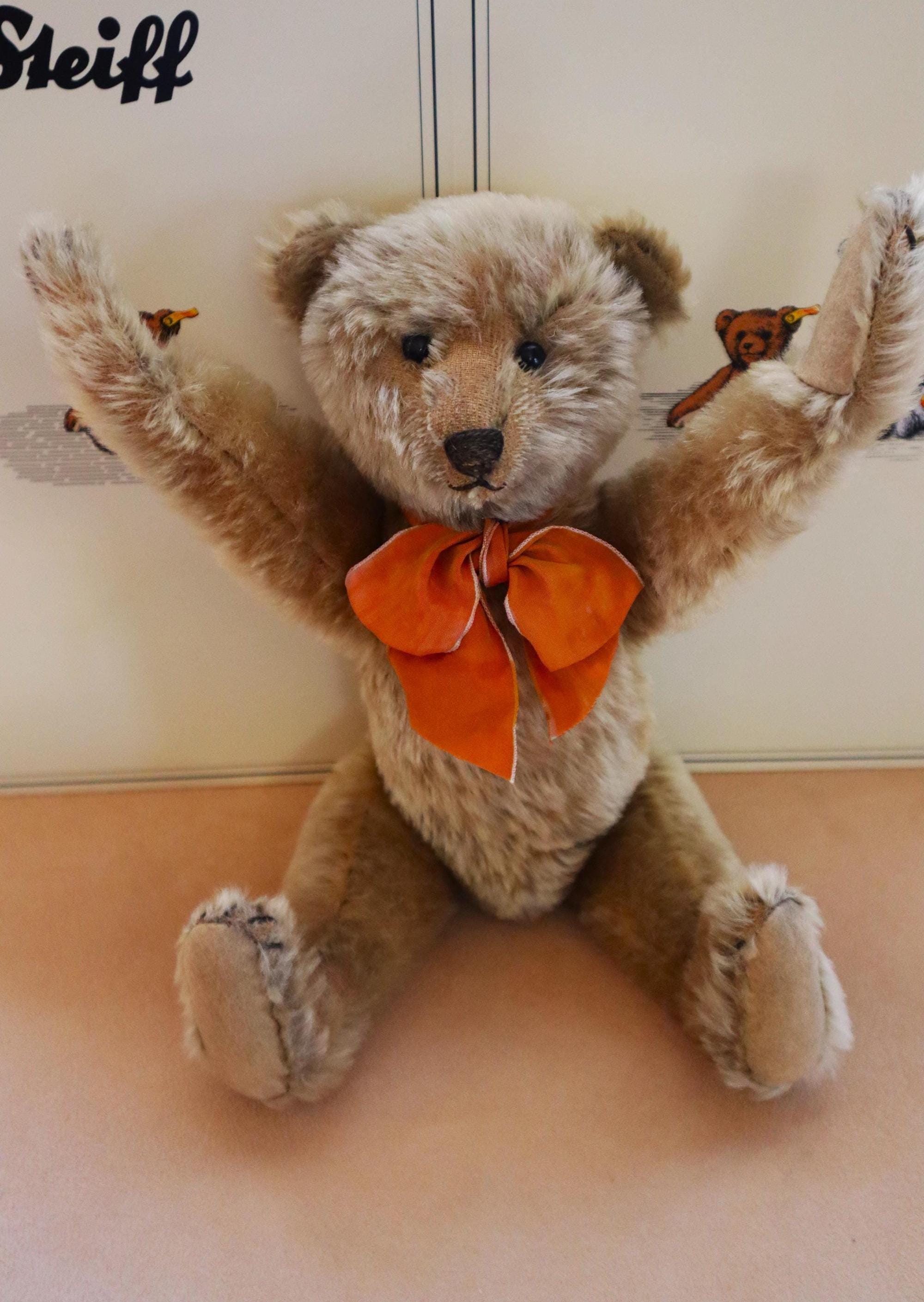 1904 Steiff - Etsy