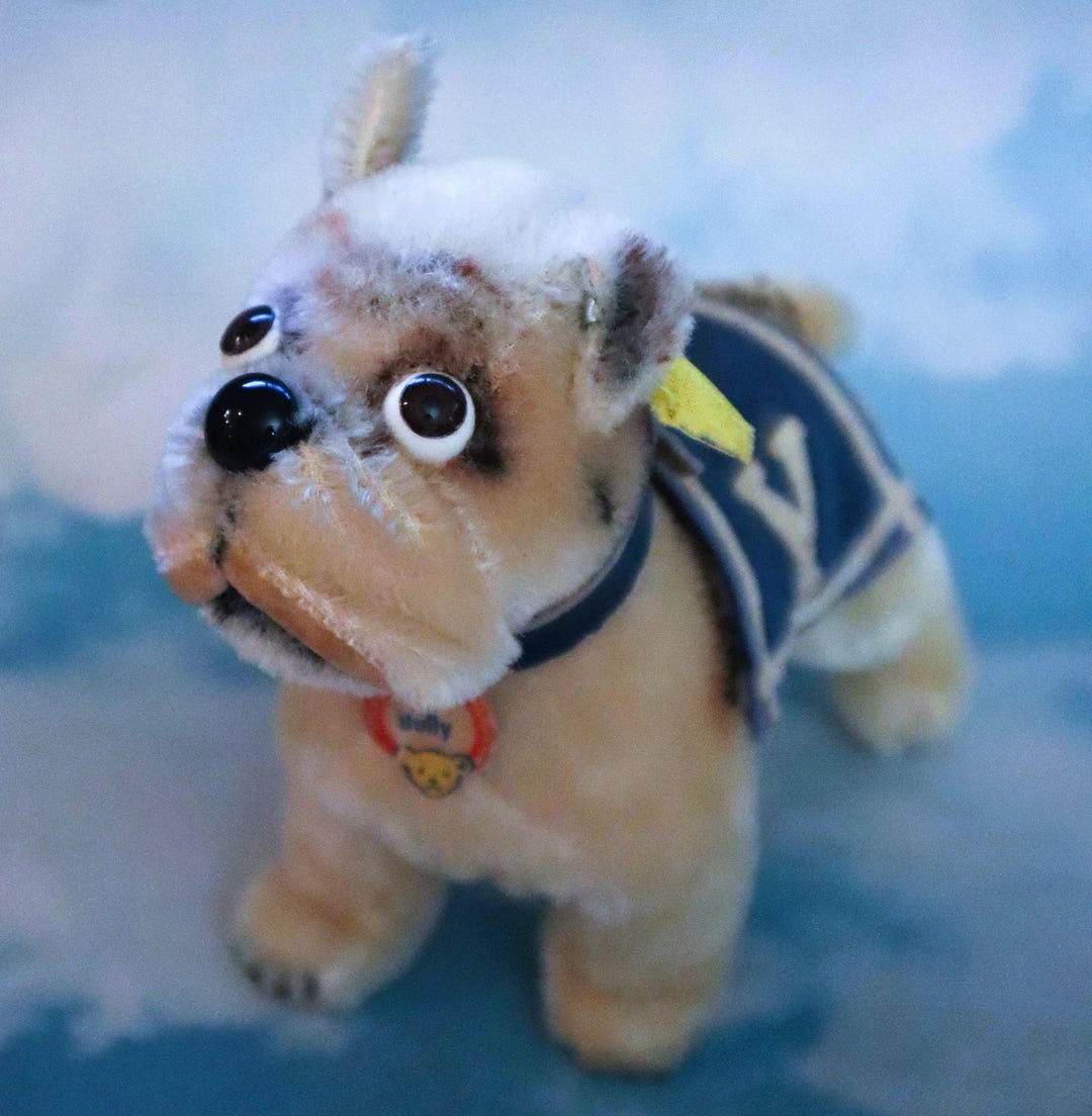 Steiff Bully Bulldog Yale Mascot Dog,all Ids 1957 (only),exc,14cm