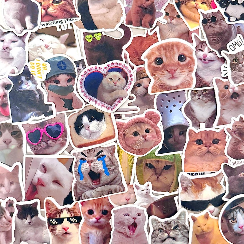 50pcs Funny Cat Meme Stickers Pack Cute Kitty Reaction Aesthetic Decals ...