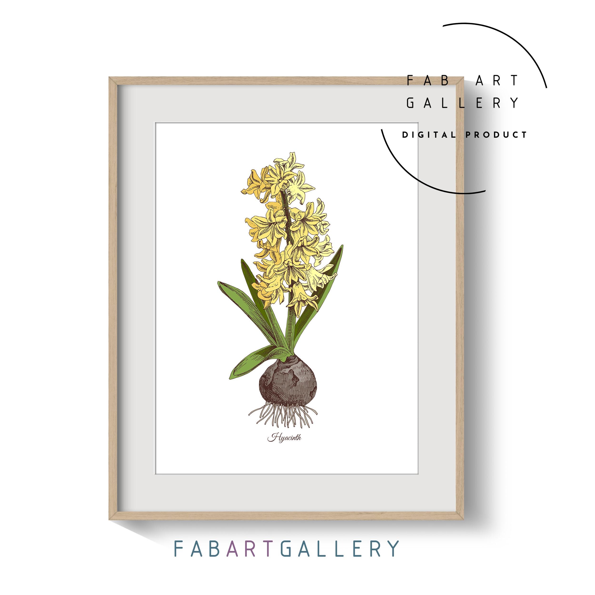 Hyacinth Poster, flower art, Spring Decor, Living Room Wall Art, Entryway Easter Print, Floral Wall Decor, Instant Download - ID05 SE12