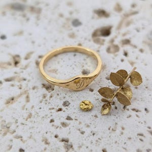 Könnte beinhalten: Ein goldfarbener Ring mit leicht strukturierter Oberfläche und runder Form. Der Ring hat den Buchstaben "D" auf der Vorderseite eingraviert. Neben dem Ring befinden sich ein kleines Goldnugget und ein goldfarbener Zweig mit Blättern.