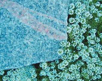 Teal Alyssum - Teppich Sweet Alyssum Blume, Brassicaceae Zierbodendecker 25 Samen