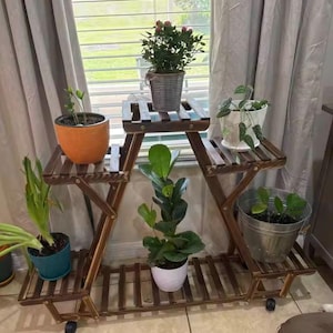 May include: A dark brown wooden plant stand with three tiers, holding various potted plants. The stand has a triangular design and is on wheels. Plants include a small rose bush, a fiddle-leaf fig, and other greenery.