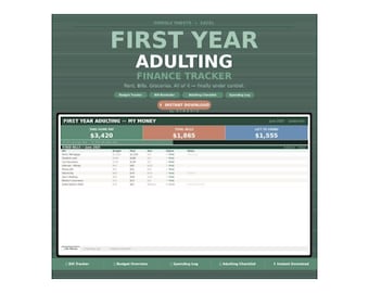 1 Jahr Erwachsenen-Budget-Tracker | Google Sheets Excel | (Finance Planner Bill Organizer)