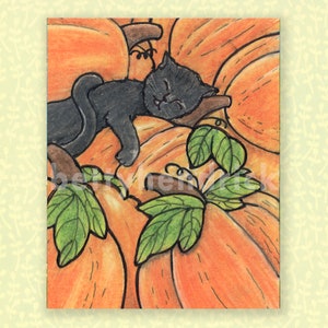 Op de afbeelding: Handgetekende illustratie van een zwarte kat die slaapt op een stapel oranje pompoenen. Groene bladeren en wijnstokken zijn verspreid rond de pompoenen. De kat is opgerold en lijkt ontspannen en tevreden. Het kunstwerk heeft een warme, herfstachtige uitstraling.