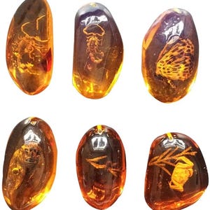 5 pièces d'ambre fossile avec des échantillons d'insectes, des pierres, des spécimens de cristal, une collection de décorations pour la maison, un pendentif ovale (motif aléatoire)