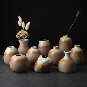 Może przedstawiać: Kolekcja ceramicznych wazonów o różnych kształtach i rozmiarach. Wazony mają dwutonowy design, z jasnobeżową podstawą i brązowym pasem pośrodku. Niektóre wazony zawierają suszone kwiaty i łodygi.