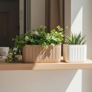Op de afbeelding: Twee rechthoekige plantenbakken, één bruin en één wit, staan ​​naast elkaar op een houten plank. De bruine plantenbak bevat hangende groene planten met kleine witte bloemen. De witte plantenbak bevat een stekelige vetplant.