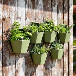 Op de afbeelding: Zes groene, zeshoekige wandplantenbakken, elk gevuld met kruiden, zijn bevestigd aan een verweerde houten schutting. De planten zijn voorzien van kleine witte labels, waardoor een verticale tuin ontstaat.