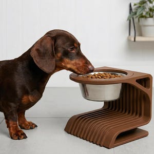 Pode incluir: Um cão dachshund castanho comendo de uma tigela de aço inoxidável colocada em um comedouro elevado moderno marrom. O comedouro tem um design exclusivo de ripas.