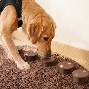 May include: A golden retriever wearing a black harness sniffs at a series of brown, circular puzzle toys. Each toy has a paw print design on the lid. The toys are arranged on a brown, textured rug.