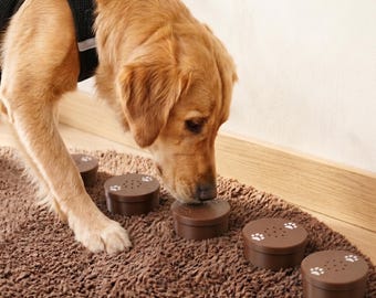 Contenants parfumés pour nez de chien | Kit d'enrichissement pour entraînement K9 | Choisissez la couleur