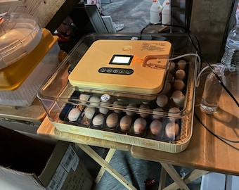 56-Egg Automatic Egg Incubator with Temperature Control, Humidity Control, Egg Turner, Candler & 360 View for Multi-Bird Hatching