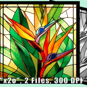Impresión de vitral floral de Ave del Paraíso, descarga de arte digital, hasta 50 x 50 cm, 300 DPI, hoja para colorear, impresión de arte mural