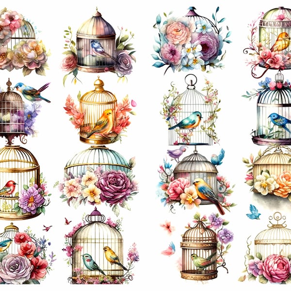 Colorful Birdcage and Flower Print, Download Digital Art, Watercolor Birdcage Clip Art, Home Decor, Birdcage Wall Art p Art