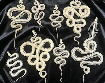 Articulated Snake Skeleton Specimen, Natural Osteology Collection, Coiled Bone Display
