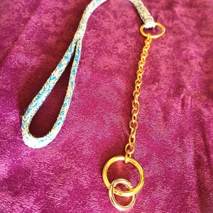 Peut inclure: Une laisse pour chien avec une poignée en corde blanche et bleue, reliée à une chaîne et des anneaux dorés. La laisse est conçue pour les propriétaires d'animaux et est posée sur un fond violet.