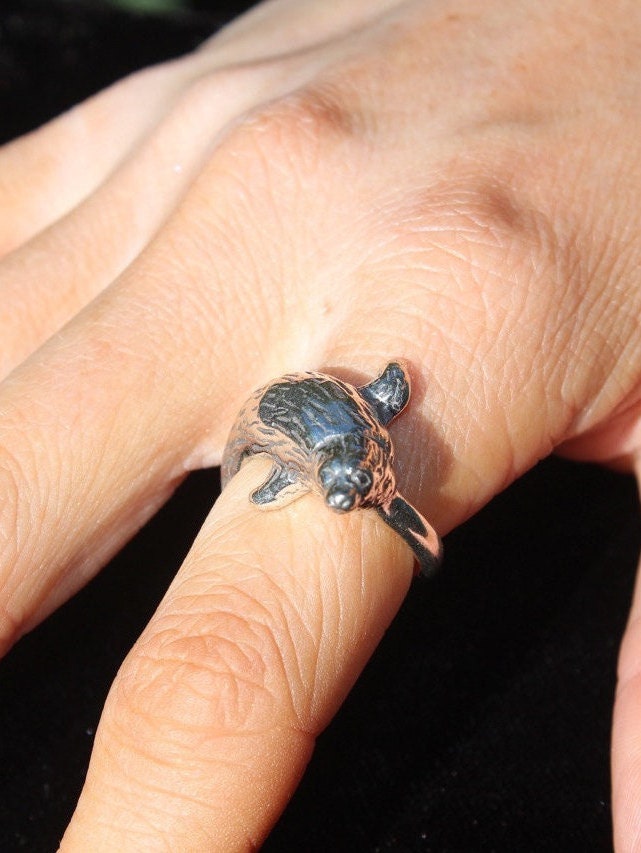 Sea lion ring clearance