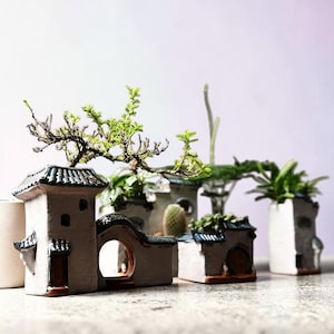 Puede incluir: Un conjunto de macetas de cerámica en miniatura con forma de casa. Las macetas blancas tienen tejados de tejas azules y pequeñas aberturas. Cada maceta contiene una planta pequeña diferente, creando una escena de jardín en miniatura.