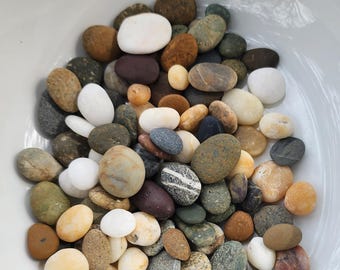 100+ Almost Round and Oval Beach Stones Natural Ocean Rocks Garden Jewelry Aquarium Terrarium Rock Crafts Garden Art Sea Pebbles Mosaic *