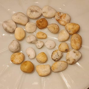 25 + trommelte Strand Steine Weiß Orange Grau Butterscotch glatt Aquarium Terrarium Garten Schmuck Vogeltränke Brunnen Stein Handwerk Zen Dekor