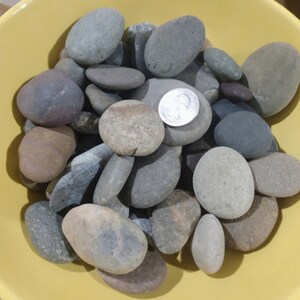 May include: A bowl filled with smooth, gray, brown, and black river rocks. The rocks are various sizes and shapes. A silver US quarter is included for scale.