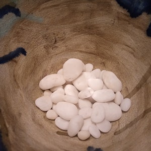 50 White Mostly White Beach Rocks Natural Ocean Stones Garden Mosaic Terrarium Aquarium Beach Home Decor Peace Alter Zen Garden Rock Art *