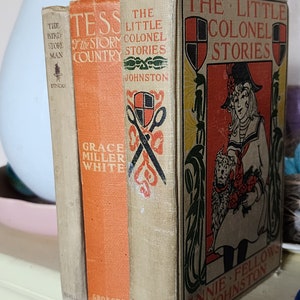 Sweet Autumn Book Bundle Instant Library Decor 3 Vintage Antique Books Dog Stories Fiction Grace Miller White Orange Tan Fall Decor Gift