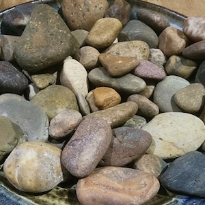 Desert Desert Looking Beach Stones! 50+ Brown Tan Black Ocean Rocks Terrarium Succulent Garden FREE SHIPPING Rock Art Cacti Garden Aquarium*