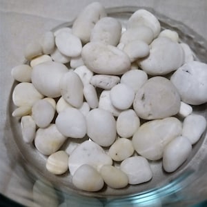 50 White Mostly White Beach Rocks Natural Ocean Stones Garden Mosaic Terrarium Aquarium Beach Home Decor Peace Alter Zen Garden Rock Art *