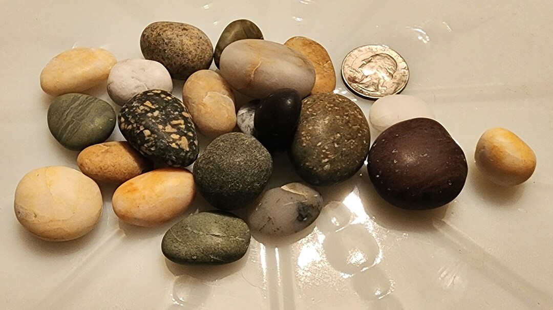 Tumbled Smooth Beach Stones 20 Lovely Ocean Rocks Terrarium Aquarium ...