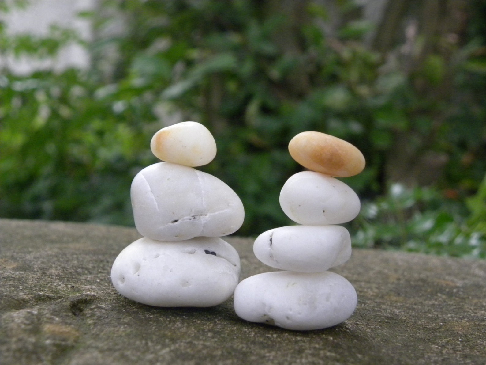 Natur Strandsteine 7er Set Weiße OzeanSteine Zen Steine Zen Etsy