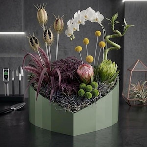 Könnte beinhalten: Ein Blumenarrangement in einem salbeigrünen geometrischen Pflanzgefäß mit weißen Orchideen, einer rosa Protea, grünen Nadelkissenblumen, gelben Trommelstöcken, violetten Ziergräsern, getrockneten Samenkapseln und einem spiralförmigen Glücksbambus.