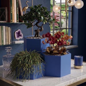Modern trippel hexagonal kruka | Geometrisk 3-i-1 suckulentkruka | Kaskadformad honungskakakruka | 3D-tryckt vattentät PETG-kruka