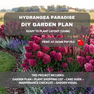 Hydrangea Paradise Garden Design Plan 2x4m | DIY Flower Bed Layout | Plant List, Visualization & Care Guide | Hydrangea Border Project