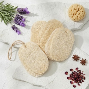 Umweltfreundlicher Luffa-Schwamm, natürlicher Reinigungsschwamm, Geschenk für Mama und Papa