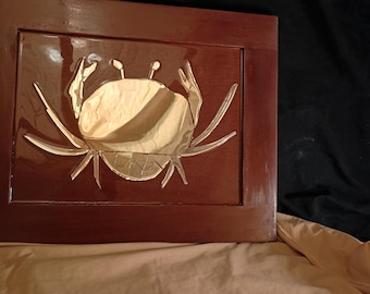 Colección de fragmentos del zodíaco Cáncer