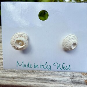 May include: A pair of off-white seashell stud earrings attached to a white display card. The card features the text Made in Key West printed in teal script at the bottom and has a circular hole at the top for hanging the product for display.