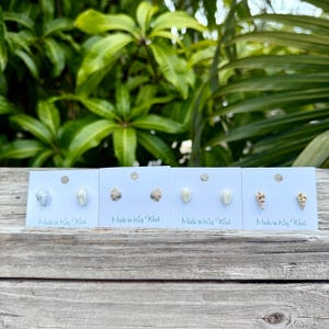 May include: Four pairs of small seashell stud earrings attached to white display cards. Each card features the text Made in Key West. The shells vary in shape, size, and color, ranging from smooth white to textured tan and brown spiral forms.