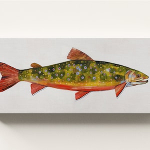 CANVAS WALL ART - Brook Trout archival ink print, ready to hang, gallery wrapped