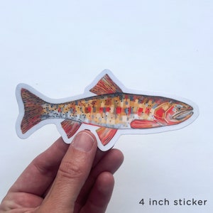Puede incluir: Una pegatina de 10 cm que presenta una ilustración detallada de una trucha arcoíris colorida. El pez se representa de lado, con sus aletas y escamas visibles. La pegatina está impresa en vinilo blanco.