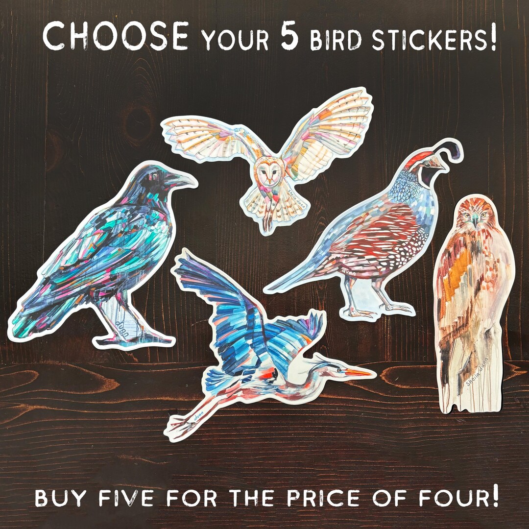 BIRD STICKER 5 PACK | Buy 4 Get 1 Free | Weatherproof - Dishwasher Safe ...