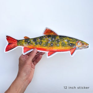 BROOK TROUT, vinyl sticker, fish art