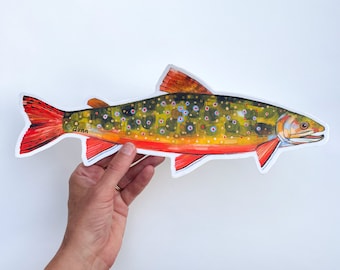 BROOK TROUT, vinyl sticker, fish art